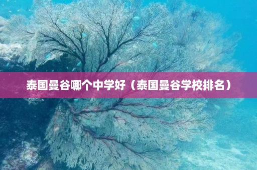 泰国曼谷哪个中学好（泰国曼谷学校排名）