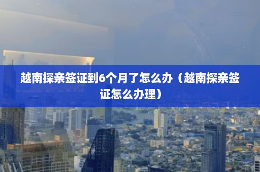 越南探亲签证到6个月了怎么办（越南探亲签证怎么办理）  第1张