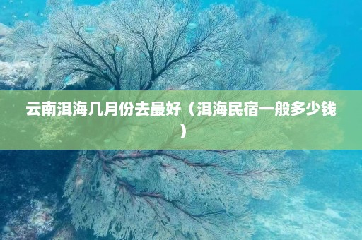 云南洱海几月份去最好（洱海民宿一般多少钱）