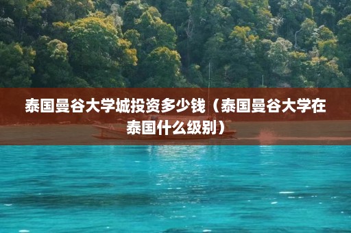 泰国曼谷大学城投资多少钱（泰国曼谷大学在泰国什么级别）