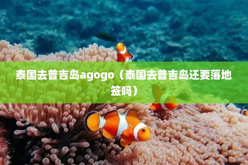 泰国去普吉岛agogo（泰国去普吉岛还要落地签吗）