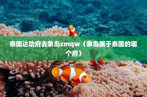 泰国达叻府去象岛zmqw（象岛属于泰国的哪个府）