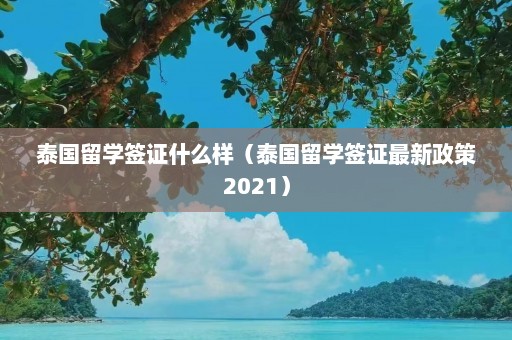 泰国留学签证什么样（泰国留学签证最新政策2021）