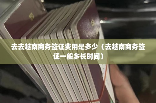 去去越南商务签证费用是多少（去越南商务签证一般多长时间）  第1张