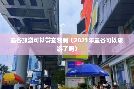 曼谷旅游可以带宠物吗（2021年曼谷可以旅游了吗）