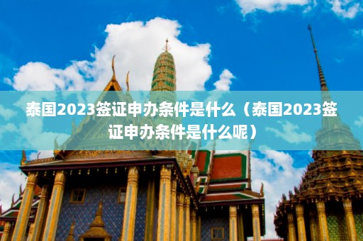 泰国2023签证申办条件是什么（泰国2023签证申办条件是什么呢）  第1张