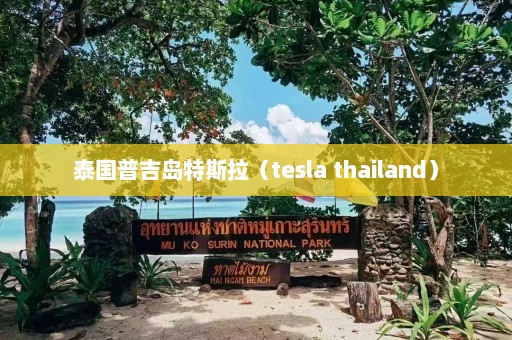 泰国普吉岛特斯拉（tesla thailand）