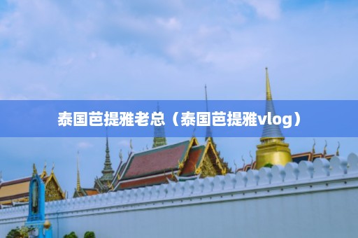 泰国芭提雅老总（泰国芭提雅vlog）  第1张