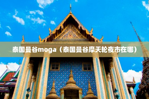 泰国曼谷moga（泰国曼谷摩天轮夜市在哪）  第1张