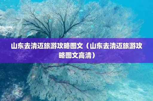 山东去清迈旅游攻略图文（山东去清迈旅游攻略图文高清）