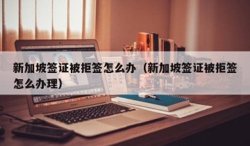 新加坡签证被拒签怎么办（新加坡签证被拒签怎么办理）